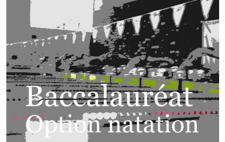 Option baccalauréat